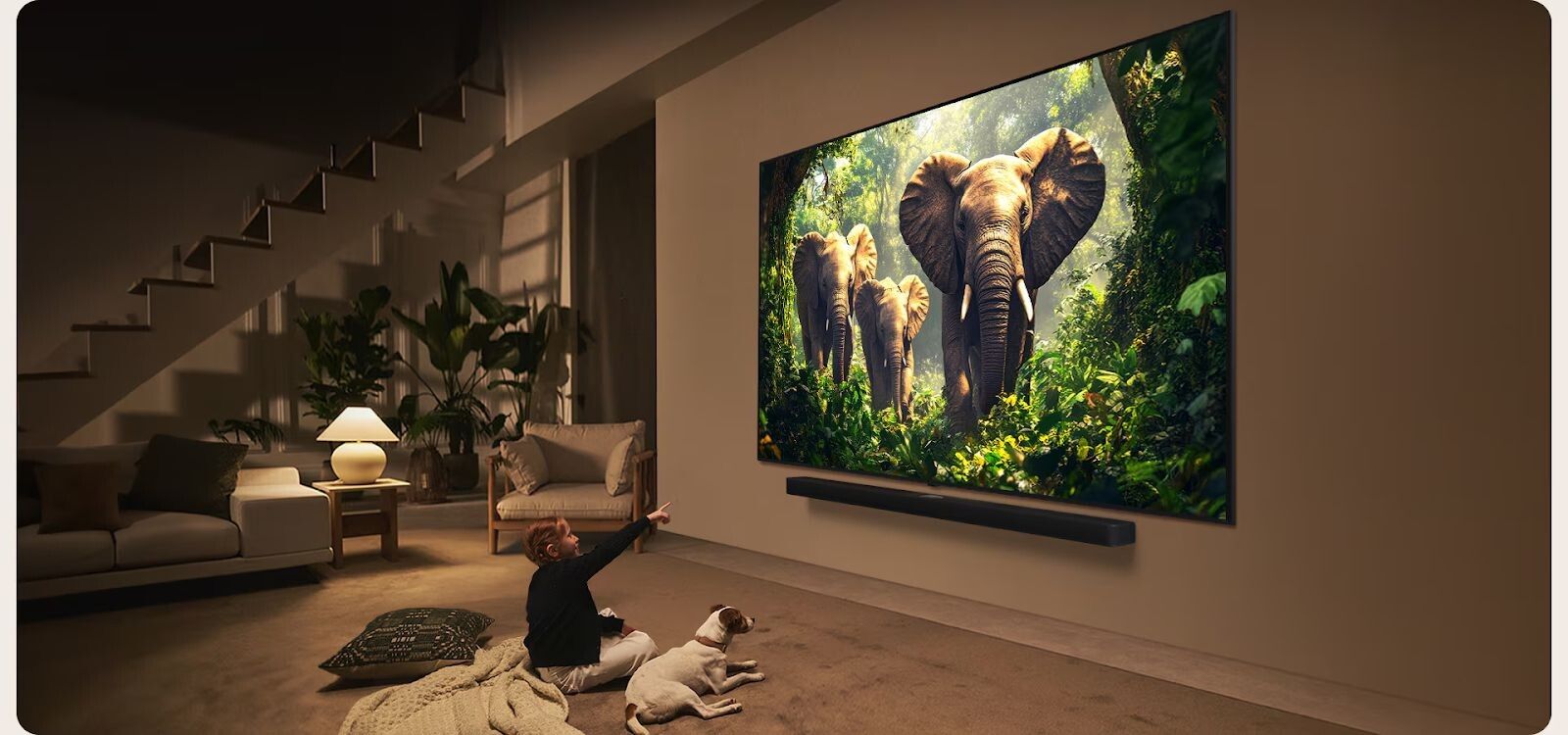 LG 65QNED86ASA sở hữu thiết kế đẳng cấp, màn hình kích thước lớn
