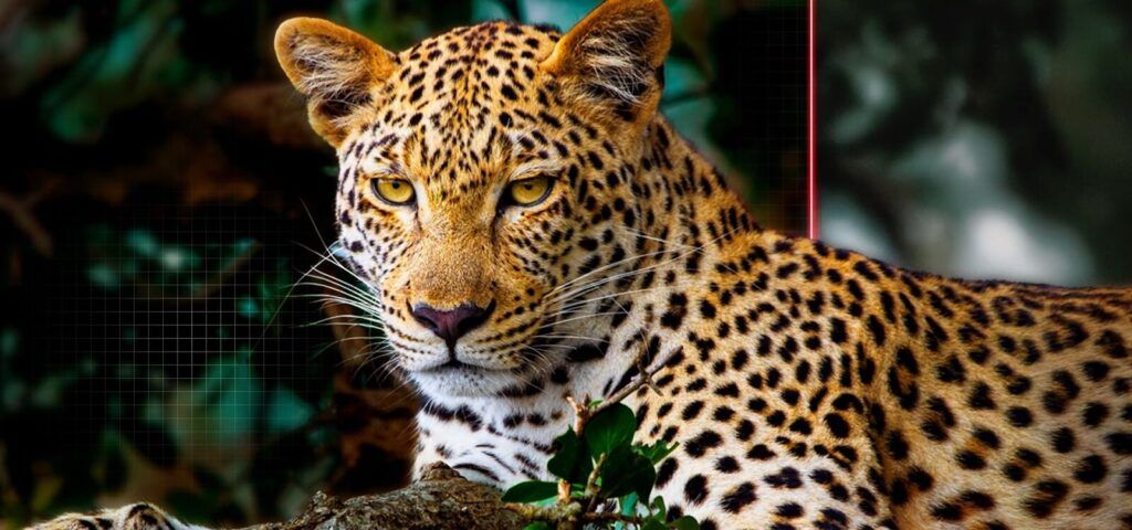 Công nghệ AI Picture Pro sẽ mang cả thế giới về trước mắt bạn