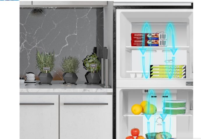 Luồng khí lạnh được lưu thông tuần hoàn khắp tủ lạnh