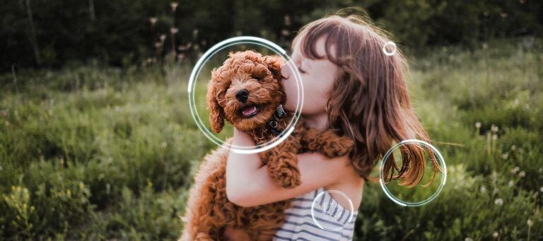 AI Upscaling là công nghệ kết hợp với 20 mạng trí tuệ nhân tạo