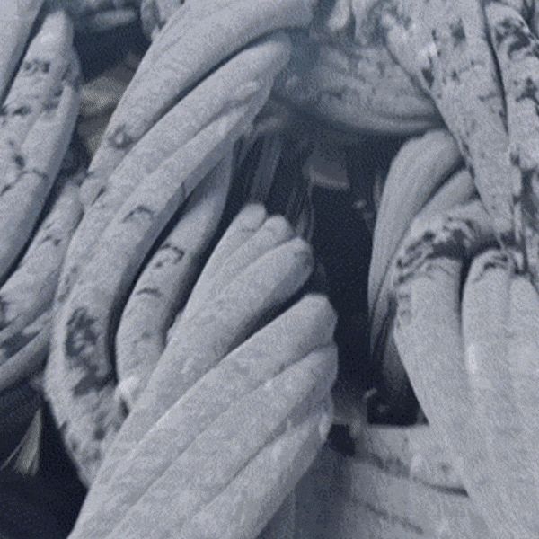 Công nghệ siêu bọt khí nano Ultra Fine Bubble độc quyền 