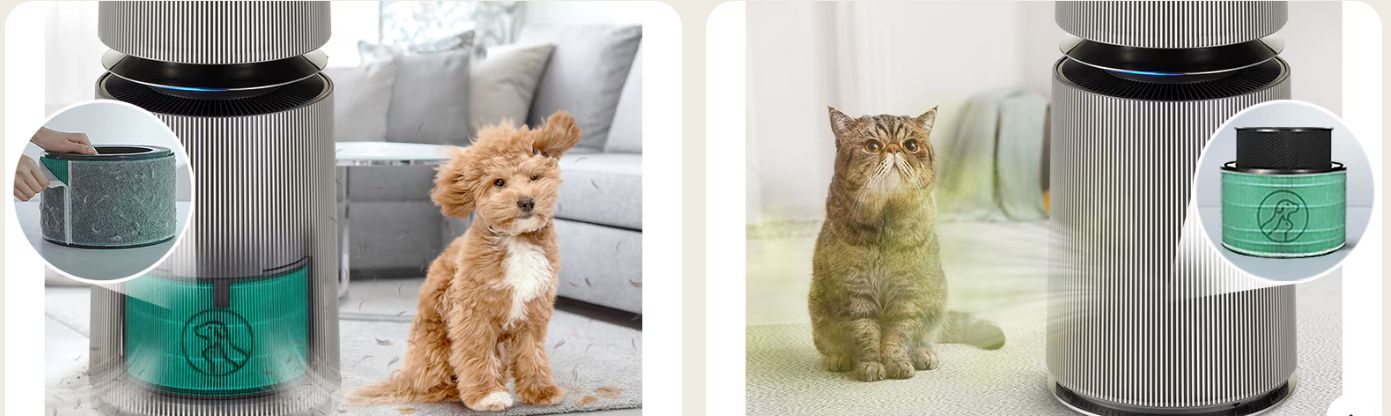 Chế độ thú cưng còn phát hiện được lông thú cưng dù là ở vị trí thấp nhất