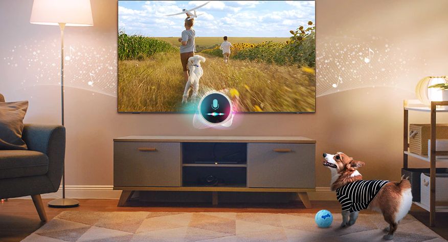 Chế độ chăm sóc thú cưng đặc biệt khi bạn vắng nhà