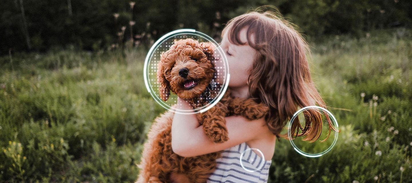 Hình ảnh sẽ được nâng cấp lên chuẩn 4K bằng AI